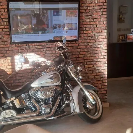 Olive Island דירה לרנקה