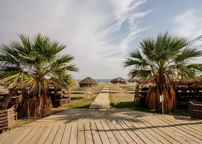 דירה Olive Island לרנקה