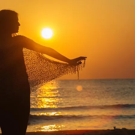 Olive Island Appartement *