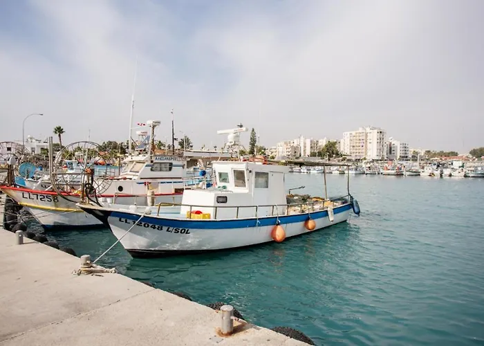 Olive Island * Larnaca